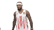 sportmts kkcrvenazvezdamts lorenzobrown Sticker