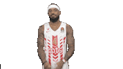 sportmts sportmts kkcrvenazvezdamts lorenzobrown Sticker