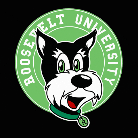 RooseveltU giphyupload college chicago rooseveltu GIF