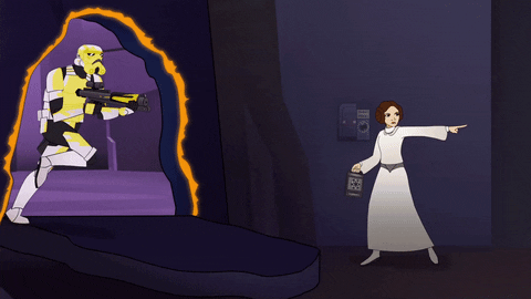 princess leia stormtroopers GIF by Star Wars