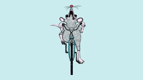 Tired Rat Race GIF by Duilio Gatti