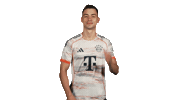 Fc Bayern Football Sticker by Bundesliga