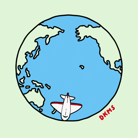 New York Airplane GIF by DKMS – WE DELETE BLOOD CANCER