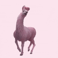 julesm dance funny cute party GIF