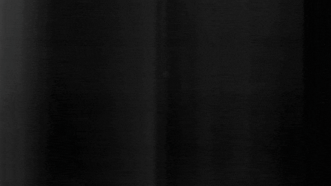 Football Sport GIF by SK Sturm Graz