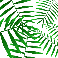 3D Leaves Sticker by jjjjjohn