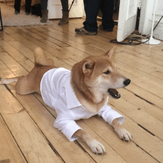 No Eye Roll GIF by Banana Republic