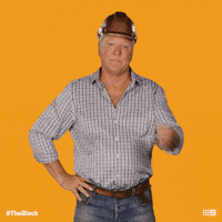 Channel 9 Whistle GIF by The Block
