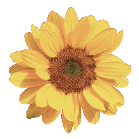 Flower Sticker