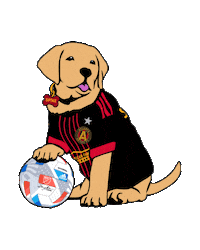 Sport Futbol Sticker by Major League Soccer