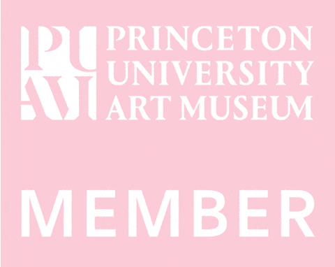 Princeton Art Museum GIF by Princeton University