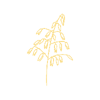 Bok Surdeig Sticker by Dalheim Gaard