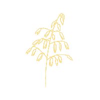 Surdeig Sticker by Dalheim Gaard