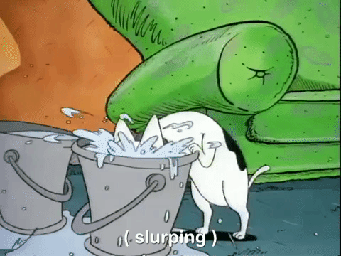 rockos modern life nicksplat GIF