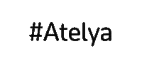 Kanal D Leyla Sticker by Ay Yapım