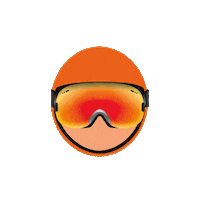 Apres Ski Party Sticker by Mastercard