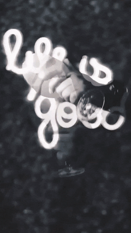 brunanardelli giphygifmaker GIF