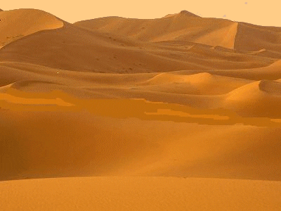 desert GIF