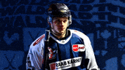 Goal Hockey GIF by Iserlohn Roosters