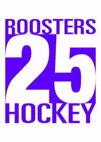 iserlohnroosters ice hockey eishockey tradition sauerland GIF