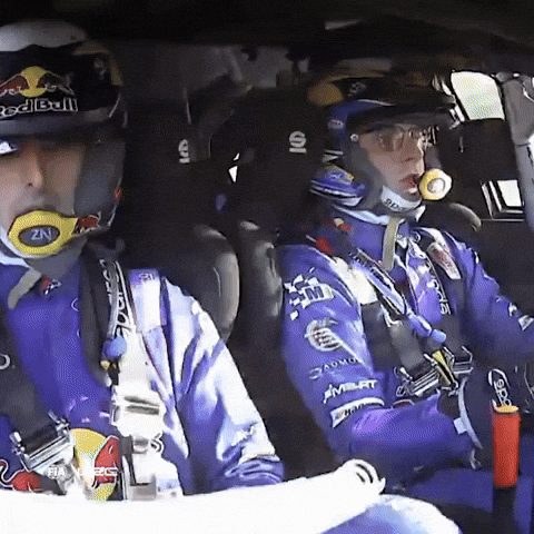 Team Driving GIF by FIA World Rally Championship