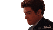 The Musical Joshua Bassett Sticker by Alissandra
