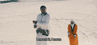 black bear GIF by Much