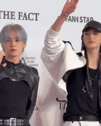 Stray Kids Skz GIF