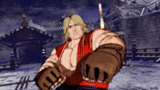 Martial Arts Peace GIF by Xbox