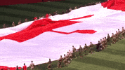 Blue Jays Baseball GIF by Toronto Blue Jays