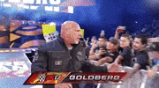 Bill Goldberg Wrestling GIF by WWE