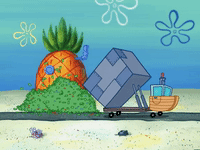 season 6 porous pockets GIF by SpongeBob SquarePants