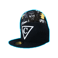 Baseball Hat Sticker by CapicheCaps