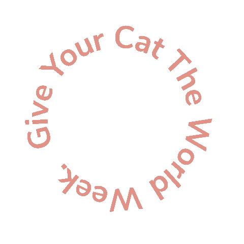 cat exploring Sticker by Catexplorer