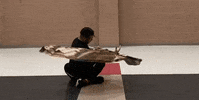 thatguywhospins flag spinning colorguard tatguywhospins GIF