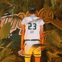 Womens Basketball GIF by USF Athletics