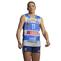 Volleyball Celebrate Sticker by ImocoVolley