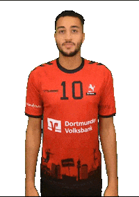 TVHoerde sports sport ball volleyball Sticker