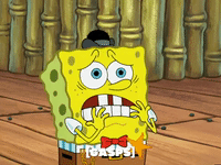 season 5 GIF by SpongeBob SquarePants