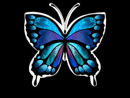 audreyrosemolina butterfly audreyr GIF