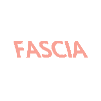 Fasciamag fascia fasciamag fasciamagazine Sticker