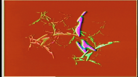Video Art GIF by cskonopka
