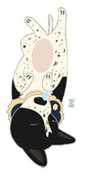 Sleep Love Sticker
