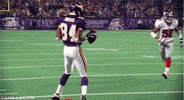 minnesota vikings nfl GIF