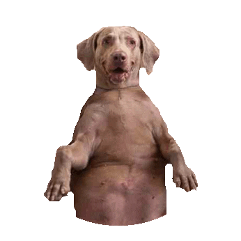 derp STICKER by imoji