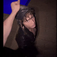 Bachbuquen GIF