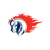 Sagamihara-Rise rise nojima ライズ xleague Sticker