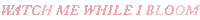 Atlantic Records Flowers Sticker by Hayley Williams