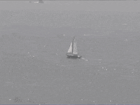 hazel english GIF by Polyvinyl Records