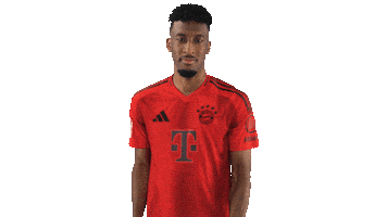 Fc Bayern Cheering Sticker by Bundesliga